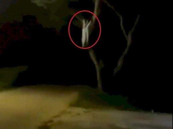 Hii... Ada Penampakan Kuntilanak di Pohon, Kepala dan Rambutnya Buat Dengkul Lemas