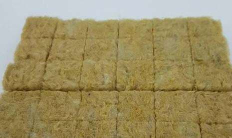 Mengapa Rockwool Cocok Sebagai Media Tanam Hidroponik ?