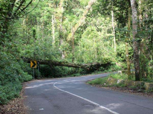 Jalur Cangar, Tempat Angker di Jawa Timur Bikin Orang Ingin Tersesat!
