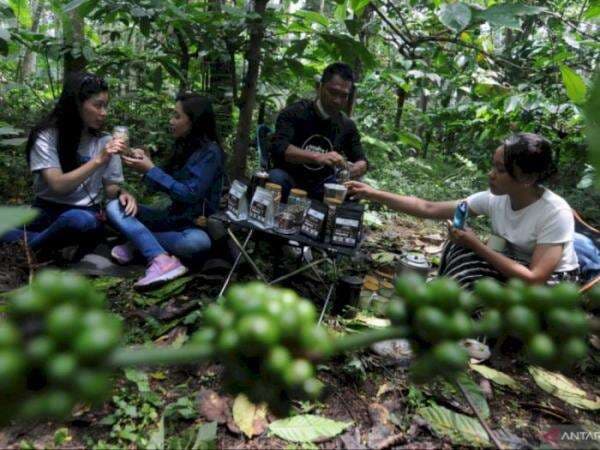 Cocok untuk Valentine Berdua, Minum Kopi Langsung dari Kebunnya di Kaki Gunung Merbabu Cocok untuk Valentine Berdua, Minum Kopi Langsung dari Kebunnya di Kaki Gunung Merbabu