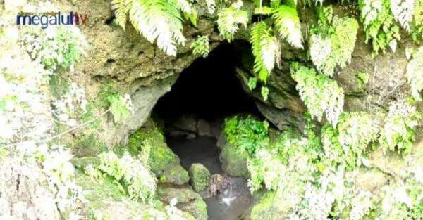 Merinding, Ditemukan Gua Misterius di Hutan, Malam Menyala seperti Api dan Jadi Sarang Ular