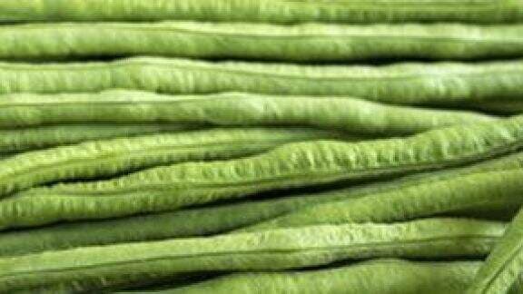 Resep Olahan Kacang Panjang, Mudah Dibuat dan Praktis