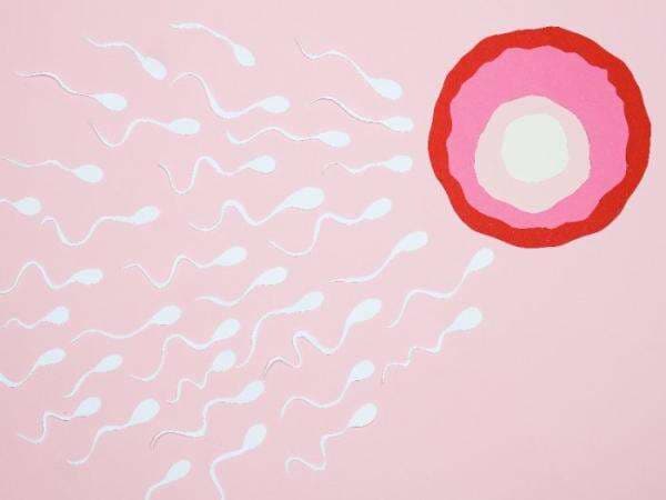 Studi: Kondisi Tempat Tinggal Bisa Mempengaruhi Motilitas Sperma