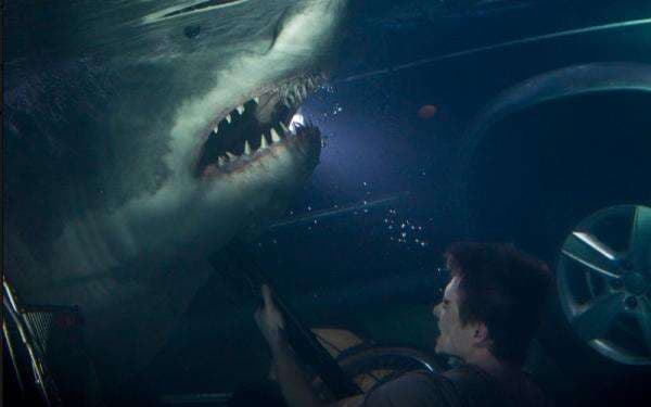 Sinopsis Film Bait, Kisah Perjuangan Xavier Samuel Hadapi Hiu Pemangsa Manusia