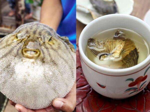 Gak Sembarangan, 4 Makanan Ini Terkenal Paling Sulit Dibuat, Chef Saja Harus Disertifikasi