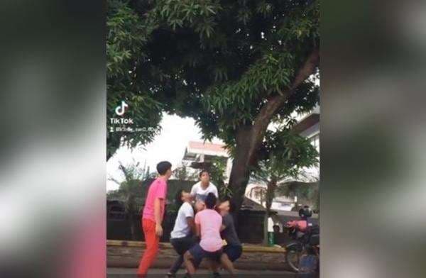Petik Mangga Pakai Skill Pemandu Sorak, Gadis Ini Bikin Kagum Warganet