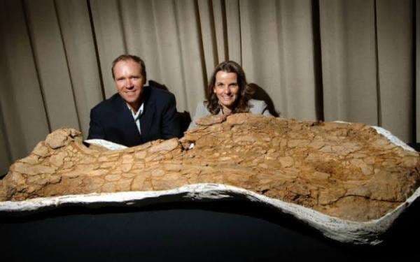 Sebesar Lapangan Bola Basket, Kerangka Dinosaurus Ini Ditemukan di Australia