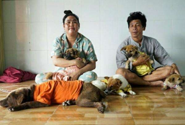 Pasangan Vietnam Adopsi Anjing Setelah Pihak Berwenang Memusnahkan Hewan Peliharaan Karena Covid-19
