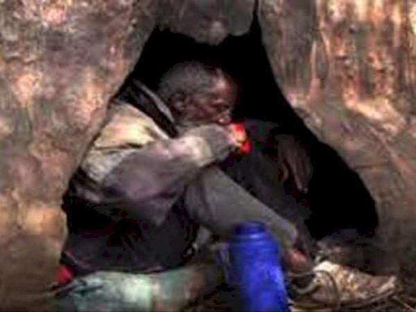 Bukan untuk Wisata, Rumah Pohon di Dunia INi Dihuni oleh Para Gelandangan dan Orang Tua!