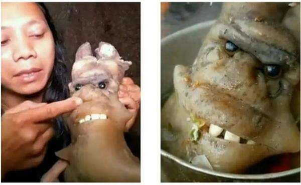 Sempat Geger, Terungkap Wujud Asli `Raja Jin` yang Dimasak dan Disantap oleh YouTuber Dede Inoen Sempat Geger, Terungkap Wujud Asli `Raja Jin` yang Dimasak dan Disantap oleh YouTuber Dede Inoen