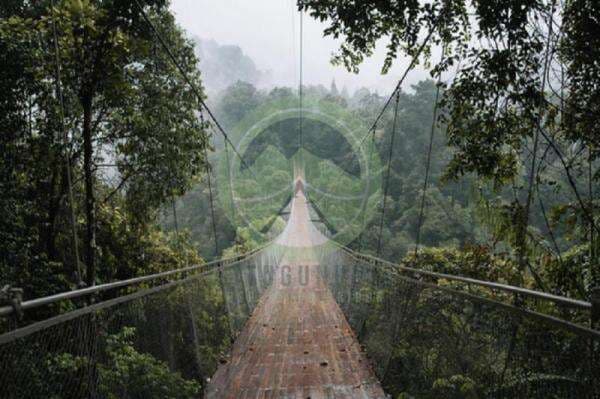 Pesona Jembatan Gantung Situ Gunung Sukabumi, Jadi yang Terpanjang di Asia Tenggara