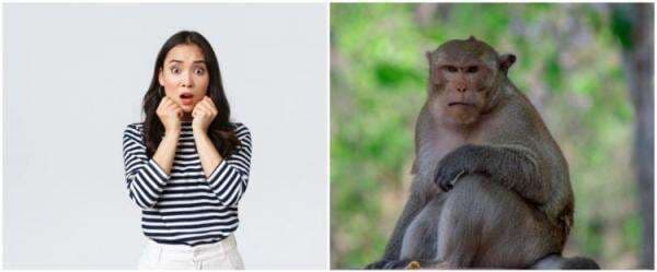 9 Arti mimpi digigit monyet yang bikin penasaran, punya makna mendalam