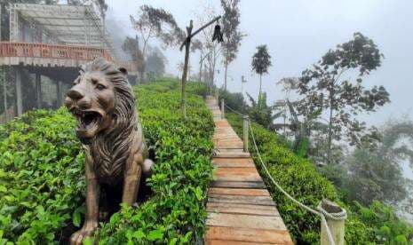 Menikmati Suasana Mistis di Perkebunan Teh Bukit Ngisis