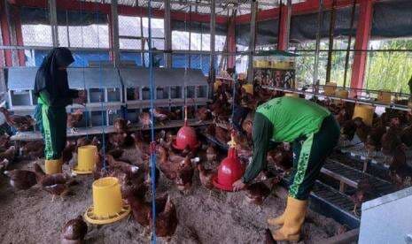 Polbangtan Kementan Siap Terima Mahasiswa Baru 2022/2023