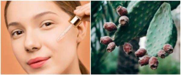 7 Manfaat prickly pear seed oil, minyak kaktus yang bagus untuk wajah