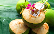 4 Ciri Kelapa Muda Berkualitas Baik yang Cocok untuk Kesehatan