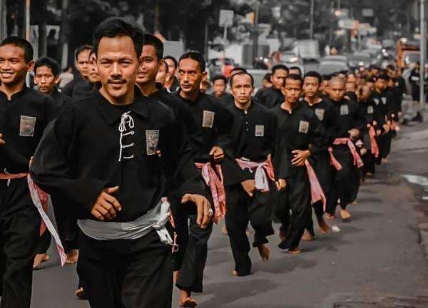 Sejarah Pencak Silat PSHT, Persaudaraan Setia Hati Terate