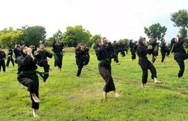 Kenali Arti dan Makna Lambang PSHT