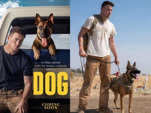 Review Film: Dog, Persahabatan dan Perjalanan Tak Terlupakan Mantan Tentara dengan Anjing Militer