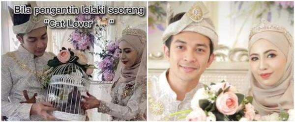 Unik, pria ini berikan seserahan kucing British Shorthair saat menikah