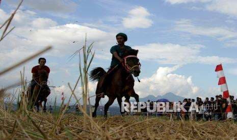 Menteri PPPA: Setop Joki Anak di Pacuan Kuda Bima
