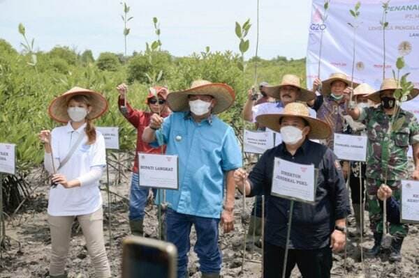 Lestarikan Lingkungan, 10.000 Bibit Mangrove Ditanam di Langkat