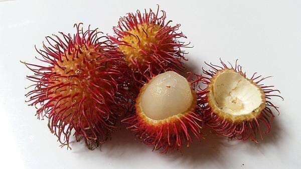 10 Manfaat Rambutan untuk Memelihara Kesehatan Tubuh