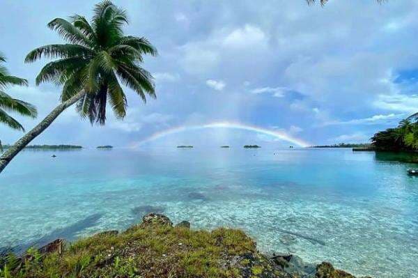 Palmyra Atoll, Pulau Berhantu yang Penuh Kejadian Mistis