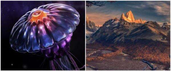 9 Aplikasi edit foto gratis di MacBook yang perlu kamu coba