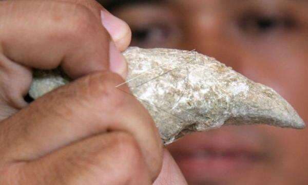 5 Senjata Andalan Manusia Purba, Ternyata Banyak Ditemukan di Indonesia