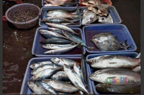 Pedagang Bagikan Ikan yang Tak Laku dijual, Alasannya Mulia!