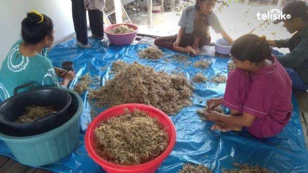 Pulau Katela, Penghasil Ikan Teri Terbanyak di Mubar Pulau Katela, Penghasil Ikan Teri Terbanyak di Mubar