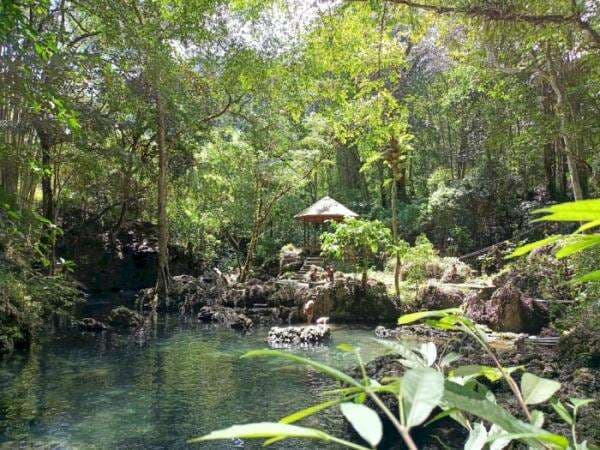 Ada Pantangan Datang ke Kolam Keramat Toraja, Punya Belut Purba Kalau Dimakan Bisa Mati!