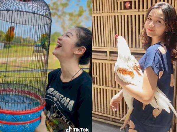 Sosok Nonni Indah, Gadis Cantik Penjual Burung dan Pakannya, Hobi Burung dan Ayam Jantan