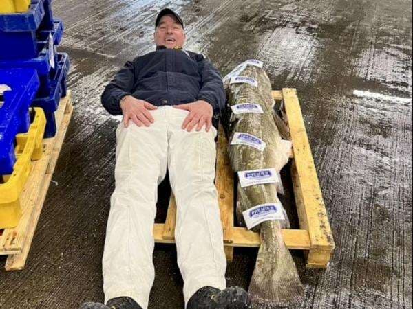 Pecah Rekor Ikan Kod Terbesar yang Pernah Ditangkap Manusia, Miliki Berat 50 kg