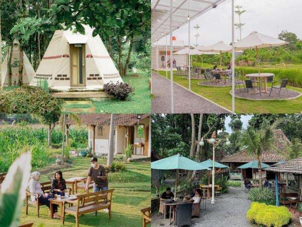 Bikin Betah Berlama-lama, Ini 5 Coffee Shop di Jogja dengan Pemandangan Alam