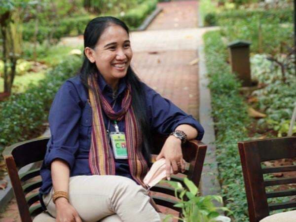 Peraturan Baru Soal Kawasan Hutan Alam Primer dan Lahan Gambut