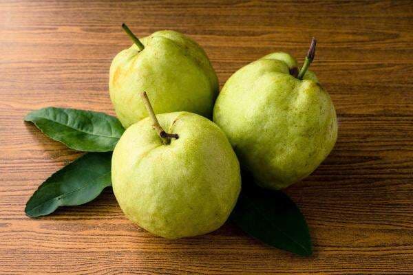 Teh Daun Jambu Biji Punya Manfaat Cukup Bagus untuk Lambung