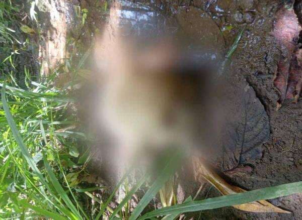 Ditemukan Tinggal Tulang, Bocah di Kahelaan Banjar Ternyata Korban Pemerkosaan