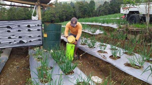 Tumpang Gilir, Pertanian Sistem Kearifan Lokal di Temanggung Tumpang Gilir, Pertanian Sistem Kearifan Lokal di Temanggung