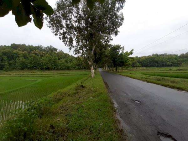 Larangan Pengantin Baru Melintas di Gunung Pegat Ponorogo, Berani Coba Siap-siap Cerai!