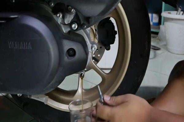 Kenali Pengertian dan Manfaat Oli Gardan Pada Motor Matic