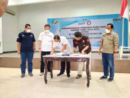 Angin Segar, Karyawan PTPN VII Bakal Naik Gaji Gaji Dua Persen Angin Segar, Karyawan PTPN VII Bakal Naik Gaji Gaji Dua Persen