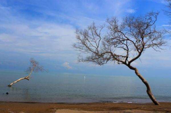5 Pantai Indah Dekat Bandung Ini Cocok untuk Rekreasi Keluarga di Masa Libur Lebaran