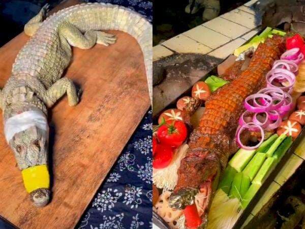 Viral Pria Panggang Buaya Utuh Lengkap dengan Taringnya, Netizen Auto Mual! Viral Pria Panggang Buaya Utuh Lengkap dengan Taringnya, Netizen Auto Mual!