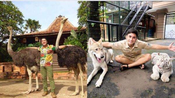 Selain Alshad Ahmad, Ini Deretan Artis yang Pelihara Harimau Hingga Satwa Eksotis Lainnya Selain Alshad Ahmad, Ini Deretan Artis yang Pelihara Harimau Hingga Satwa Eksotis Lainnya