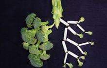 Mengenal Penyakit Paru-Paru, Gangguan Kesehatan yang Dialami oleh Mino Raiola