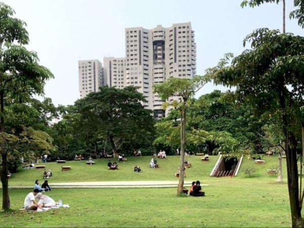 Hutan Kota GBK, Tempat Healing Baru Warga Jakarta View-nya Gedung Pencakar Langit
