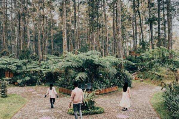 Libur Lebaran, Orchid Forest Cikole Hadirkan Wisata Alam Pet-Friendly