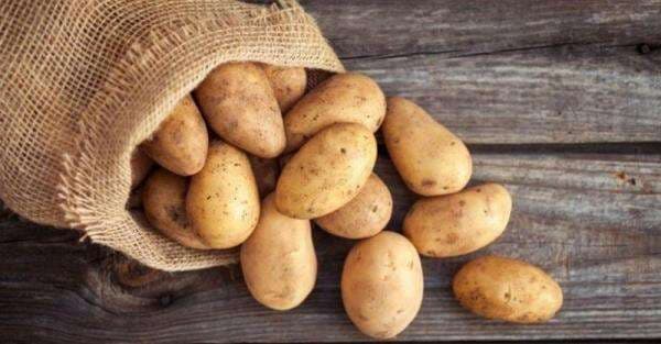 Mengenal Bahaya Kentang Busuk yang Bisa Jadi Racun, Ini Ciri-cirinya! Mengenal Bahaya Kentang Busuk yang Bisa Jadi Racun, Ini Ciri-cirinya!